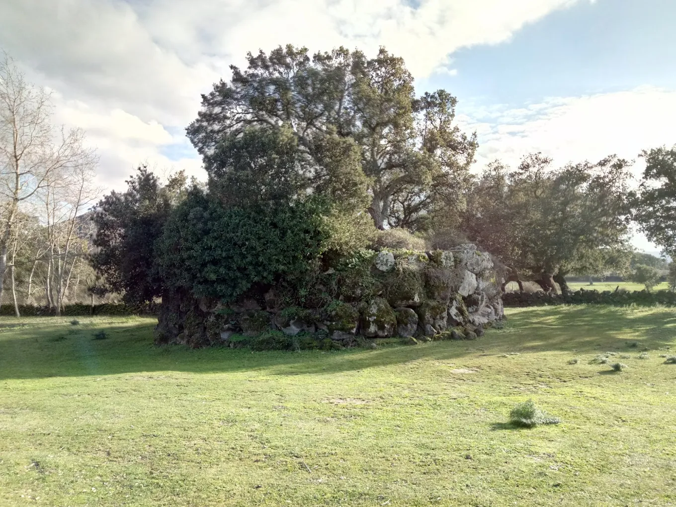 Nuraghe Aschusa  - Località Lasari