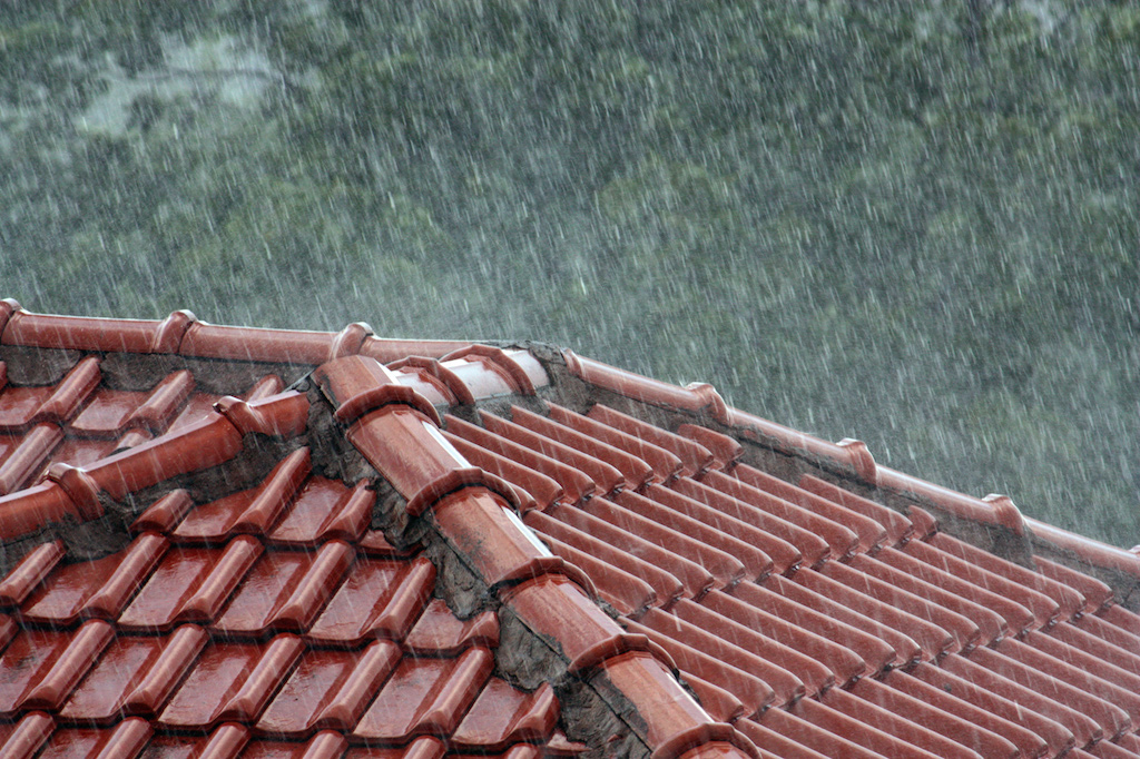 Chiusura scuole cittadine per domani 17 gennaio 2017 a causa dell'allerta meteo