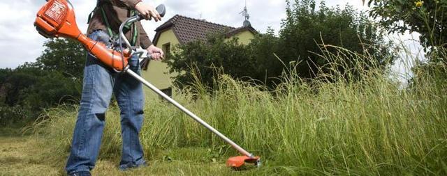Ordinanza obbligo taglio delle erbacce e ripulitura di aree e cortili in ambito urbano