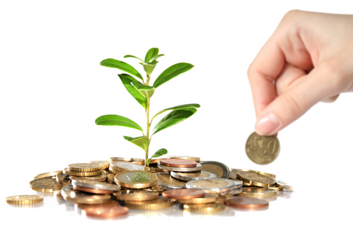 Regolamento per la concessione di agevolazioni alle imprese. Approvazione modalità di attuazione