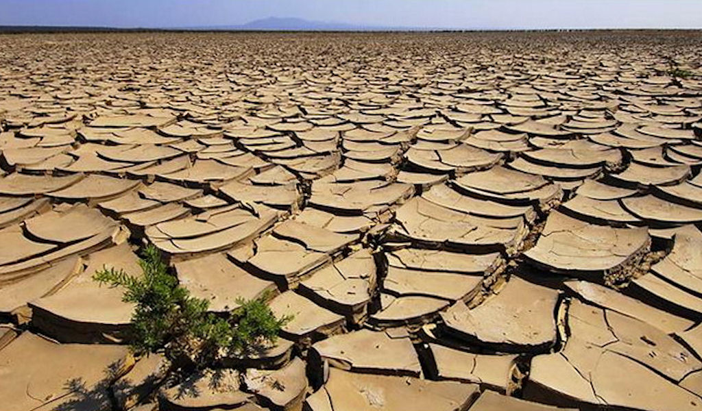 Riconoscimento dello stato di calamità naturale