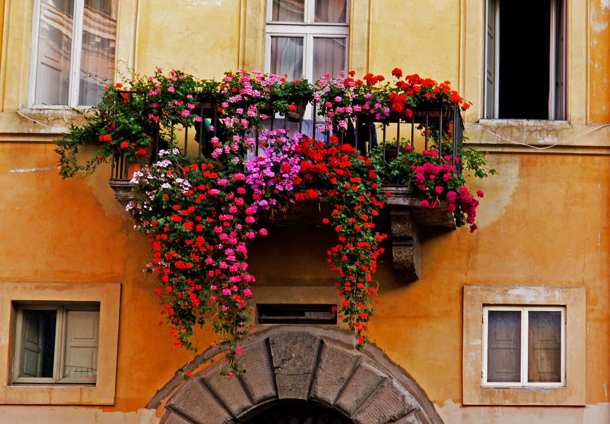 Concorso "Balcone Fiorito" 2018