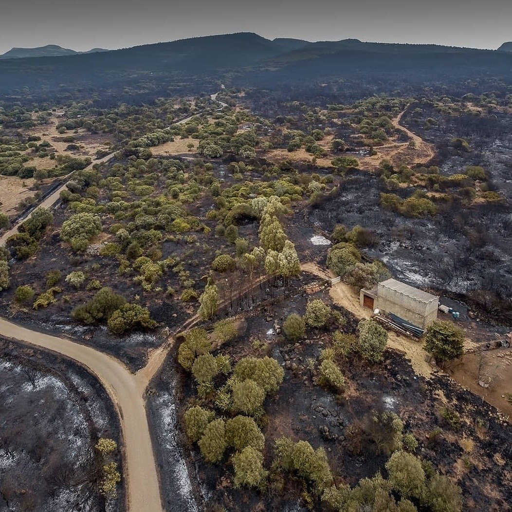 Avviso: organizzazione raccolta solidale per i paesi colpiti dall'emergenza incendi